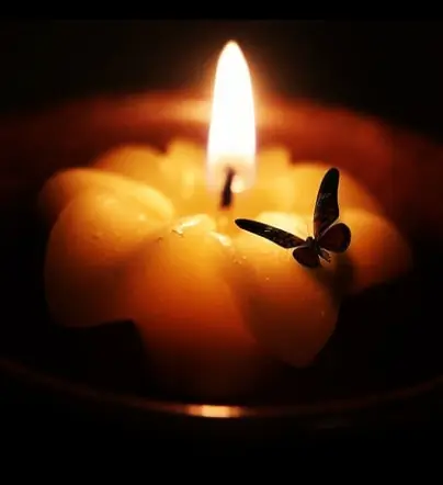 Fire and moth